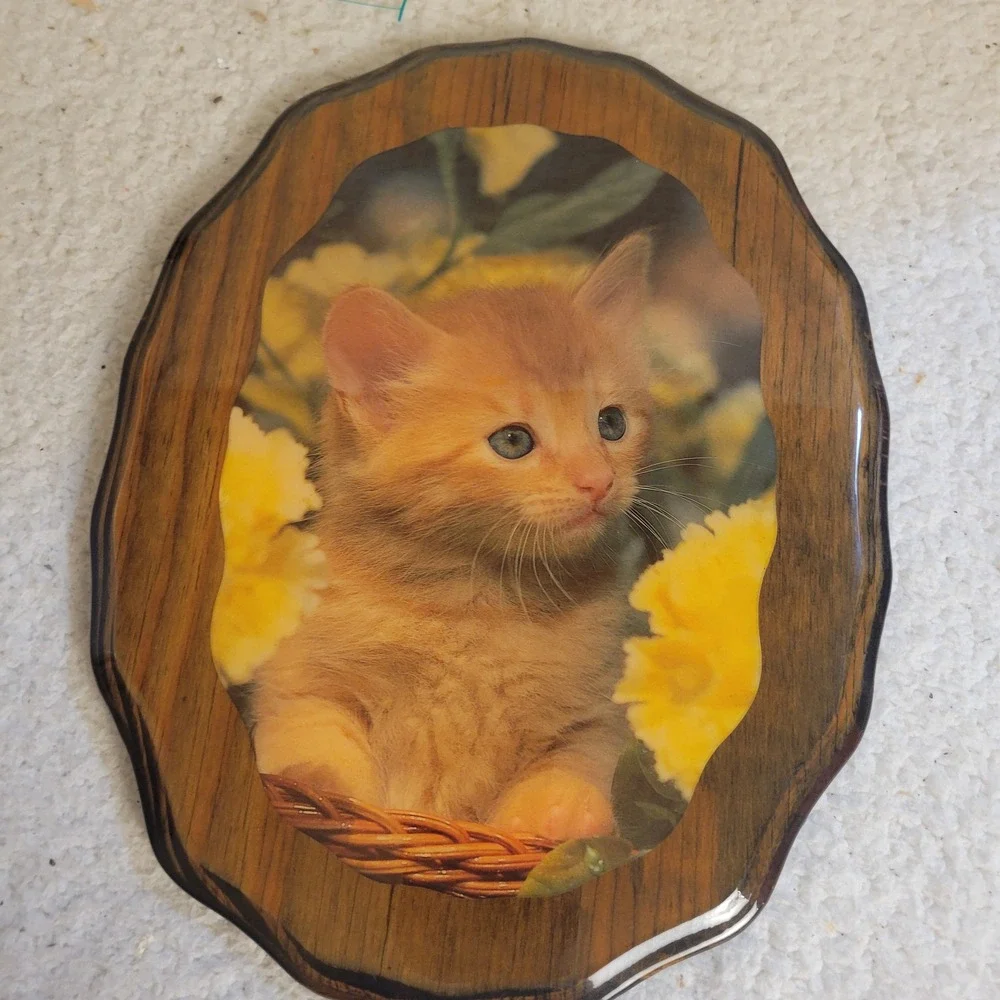 Unbranded Kitten Wall Plaque Home Decor OS Brown Orange Excellent Retro Kitsch